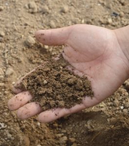 talajminőség